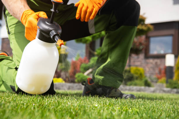 Outdoor Pest Control in Monte Sereno, CA